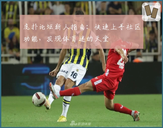 虎扑论坛新人指南：快速上手社区功能，发现体育迷的天堂