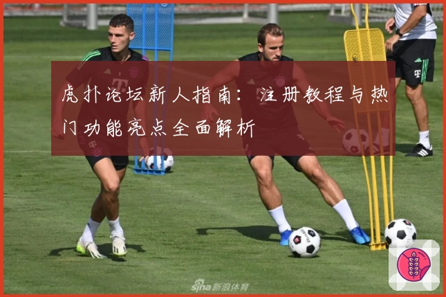 虎扑论坛新人指南：注册教程与热门功能亮点全面解析