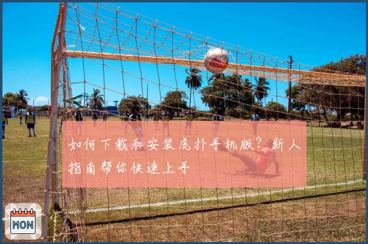 如何下载和安装虎扑手机版？新人指南帮你快速上手